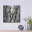 Ebern Designs «Leaves BW 02» par Tom Quartermaine, art mural en métal-1142619742