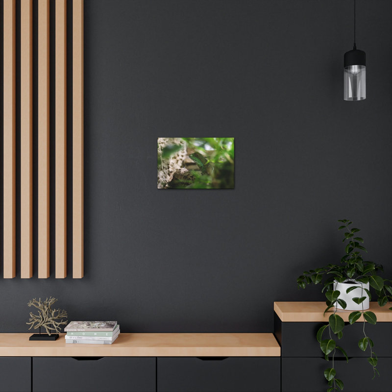 No Frame Print on Canvas