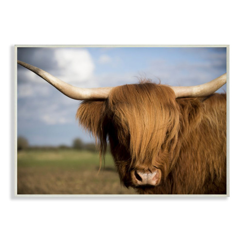 «Cow in Pasture Animal Landscape Photo», impression sur toile, H 10 po x l 15 po x P 0,5 po, Plaque murale