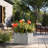 Lapria Handmade Planter Box-1647813146-1647813145