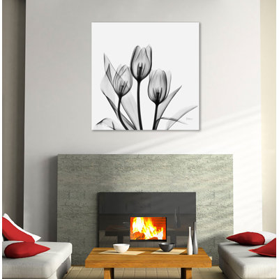 «Tulip Gray 2», toile tendue par Albert Koetsier