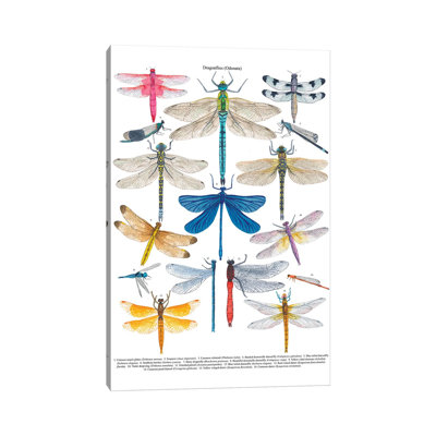 Dragonflies 1 Piece Wall Art on Canvas