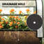 Elevated Plant Boxs,Raised Garden Bed,Flower Boxs-633670085