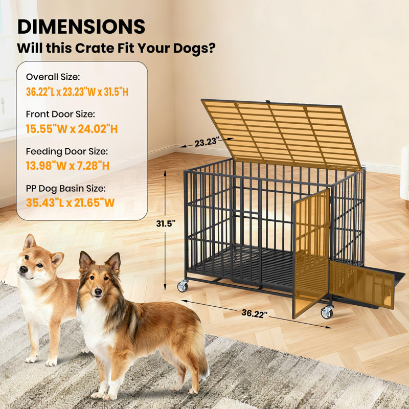 Caisse pour chien robuste à l'épreuve des fuites, chenil d'intérieur en métal avec 3 portes, roues verrouillables et plateau amovible, 36 po / 42 po / 49 po