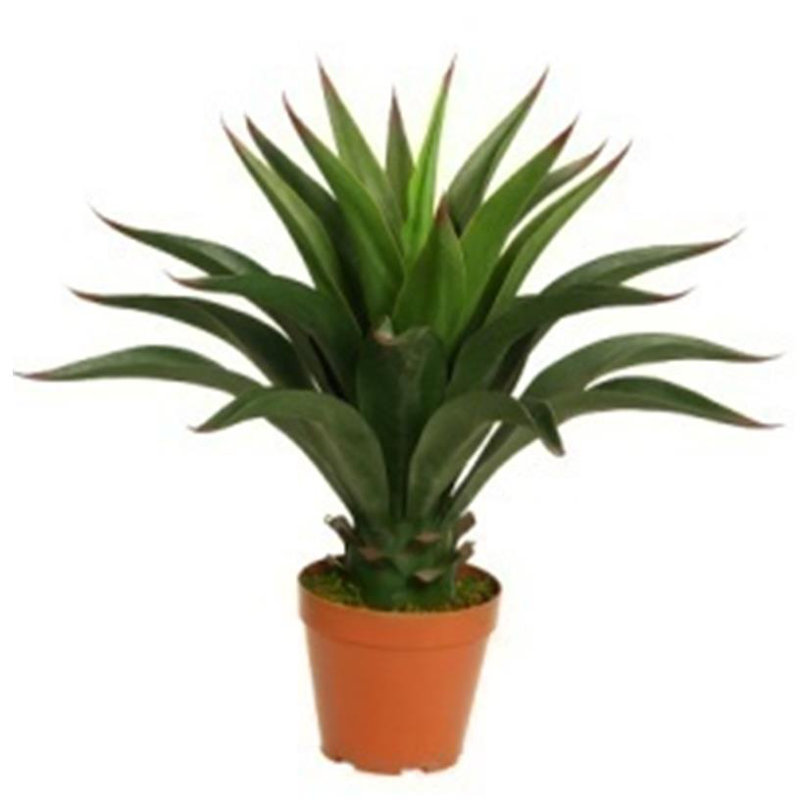 Annitte 60cm Faux Yucca Tree in Pot Liner