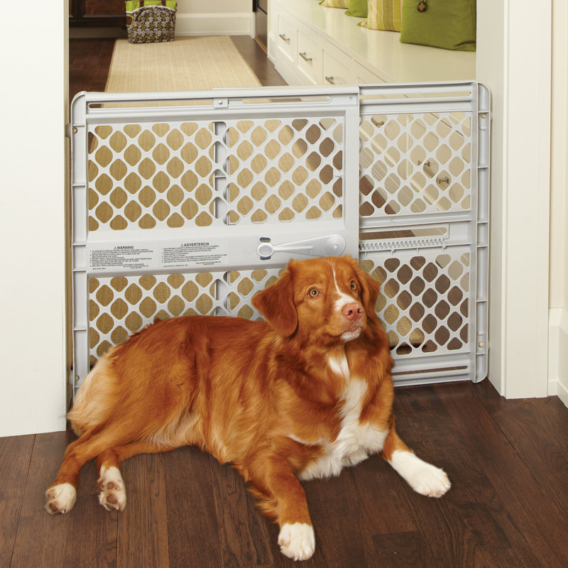 Barrière pour animaux montée sous pression Ceinture