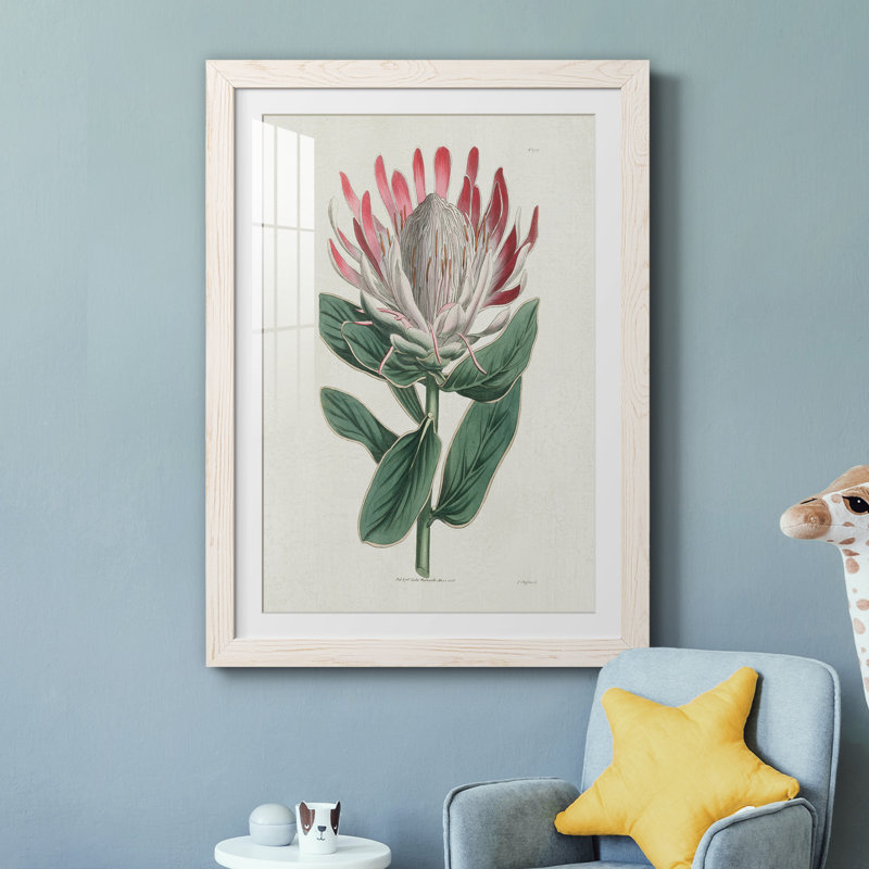 Protea N13 - Peinture encadrée, Cadre blanc, H 31,5 po x l 23,5 po x P 1,5 po