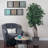 72'' Faux Tree in Wicker/Rattan Basket