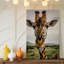 Toile, gros plan d'une girafe ludique, art mural à long cou, gracieusement arquée-105301194