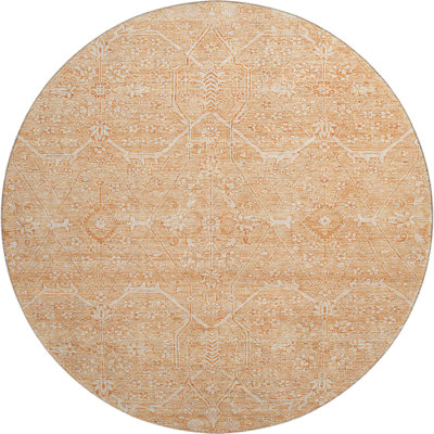 Premium Machine Washable Barry AMF1224 Panel Rug