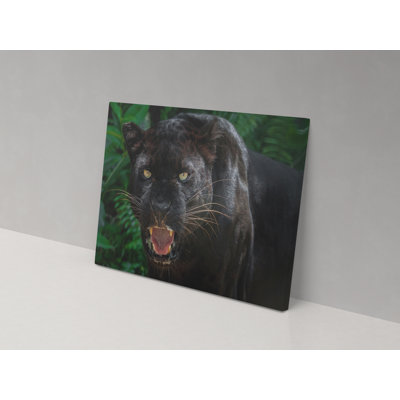 Angry Leopard - Wrapped Canvas Print