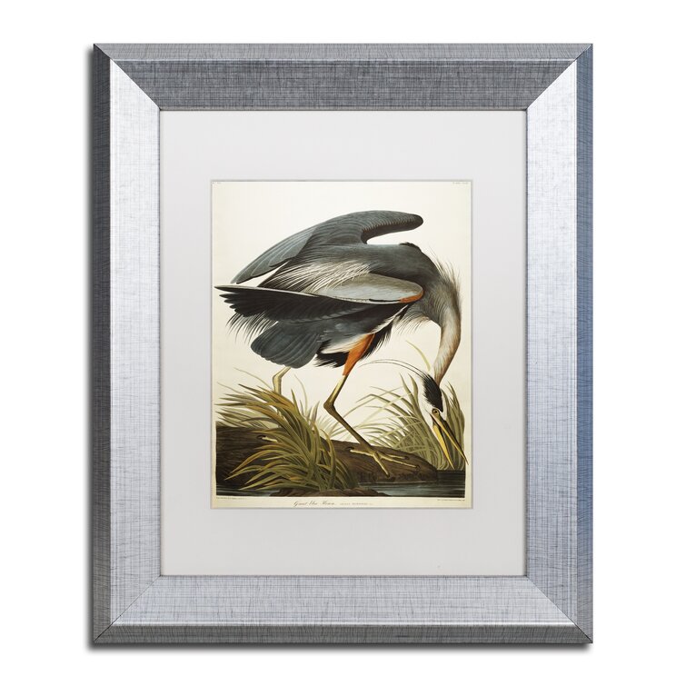 Trademark Art 'Great Blue Heron' Framed Painting Print on Canvas ...