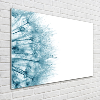 Dandelion - No Frame Print on Glass