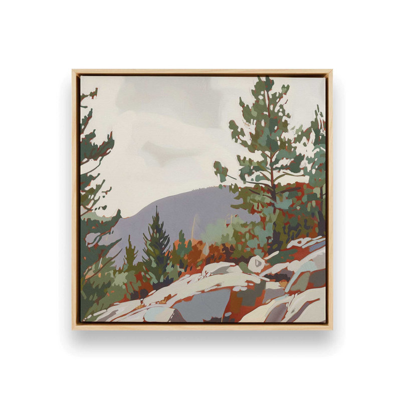 Mountain Rocks and Pines II, reproduction sur toile, Encadrement brun clair, H 16,75 po x l 16,75 po x P 1,75 po