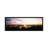" US Capitol Washington DC USA " by Panoramic Images-1596008051-1542114755