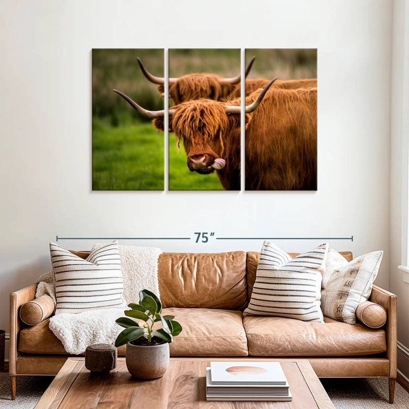 Brampt Fluffy Highland Cows, H 36 po x l 57 po