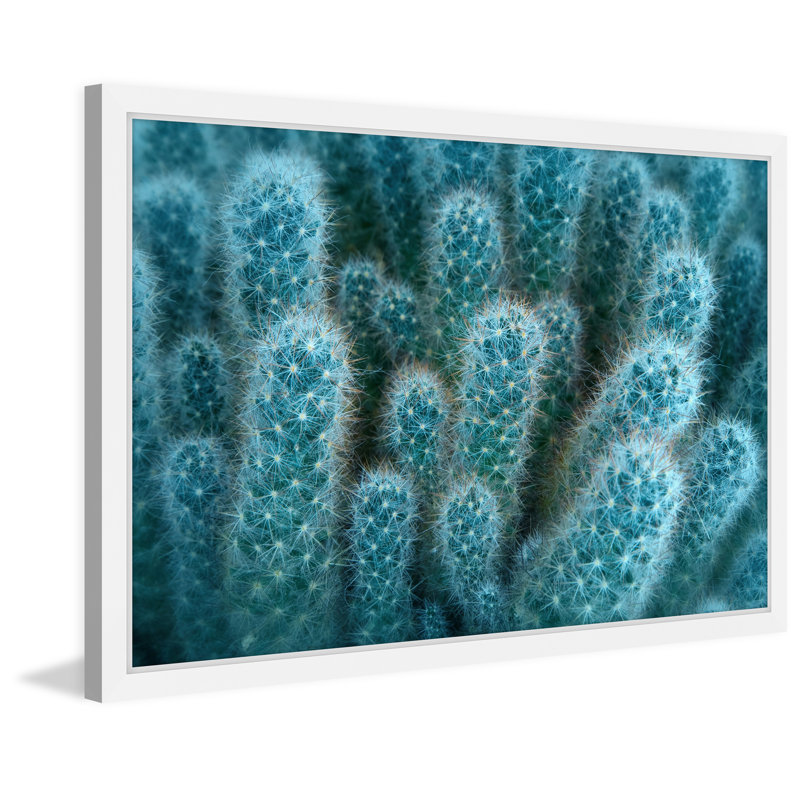 Single Picture Frame Print, 41cm H x 61cm W