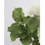 Hortensia double bleu 91 cm-509150671