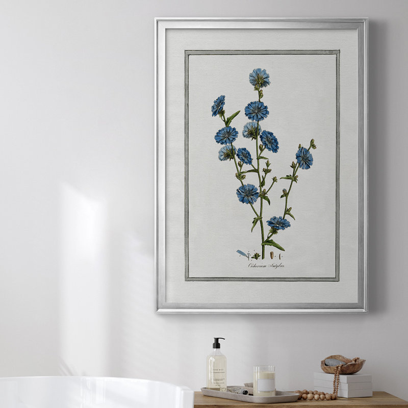 Toile encadrée de qualité supérieure Soft Botanical I - prête à être accrochée, H 24,5 po x l 18,5 po x P 1 po, Cadre argenté