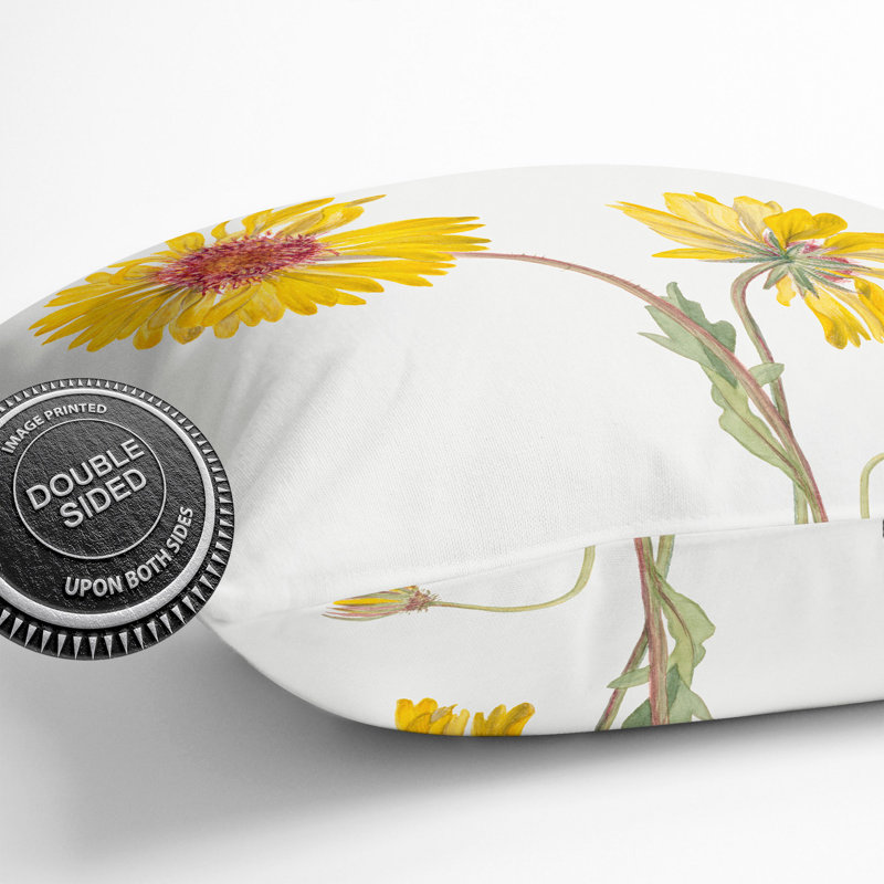 Perennial Gaillardia By Mary Vaux Walcott Square Throw Cushion, White/Yellow/Green, 40cm H x 40cm W x 15cm D
