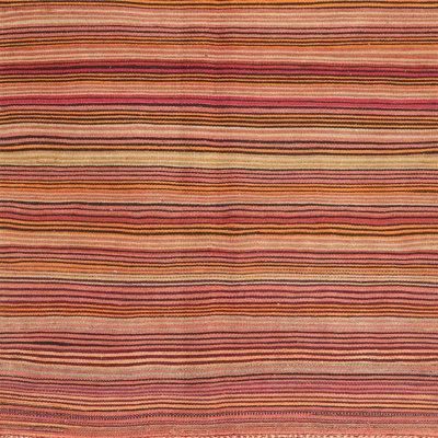 Indoor Rug
