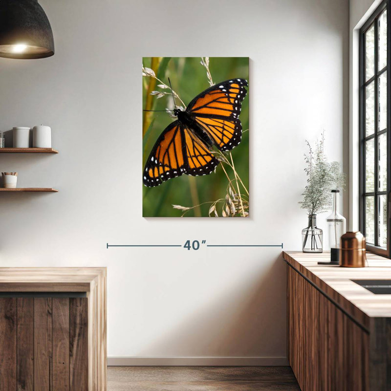 Brampt Monarch Butterfly Up Close, 36" H x 24" W