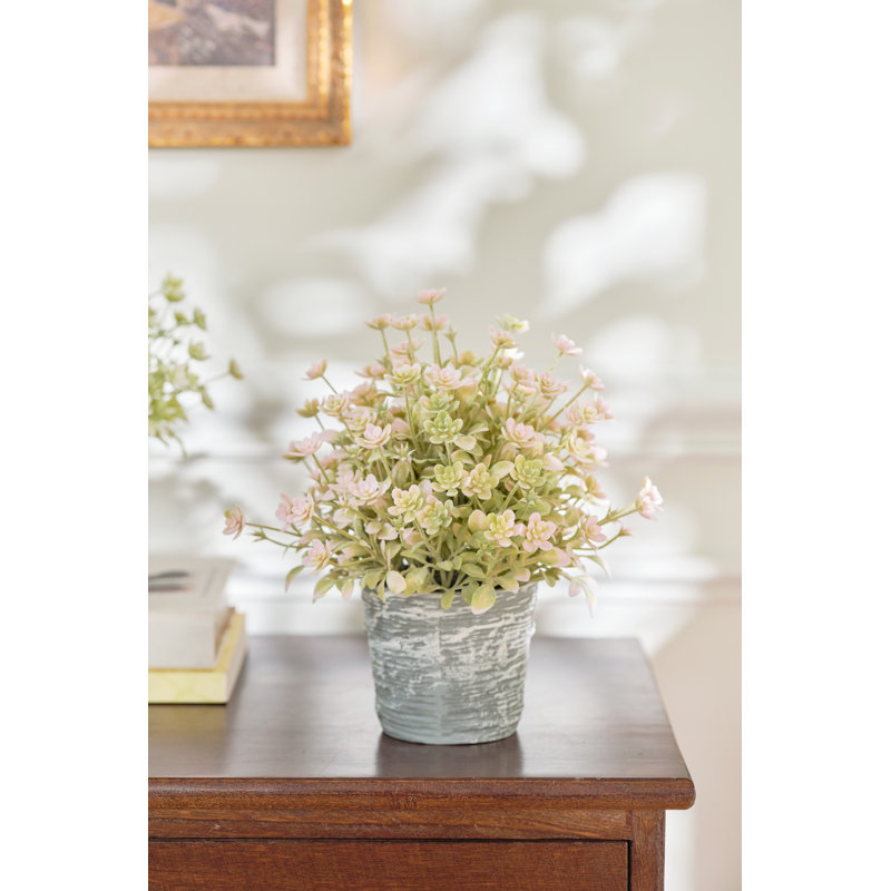 Thym artificiel en pot, Rose