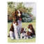Drapeau de jardin 2 côtés springer spaniels par daphné baxter-1167880130