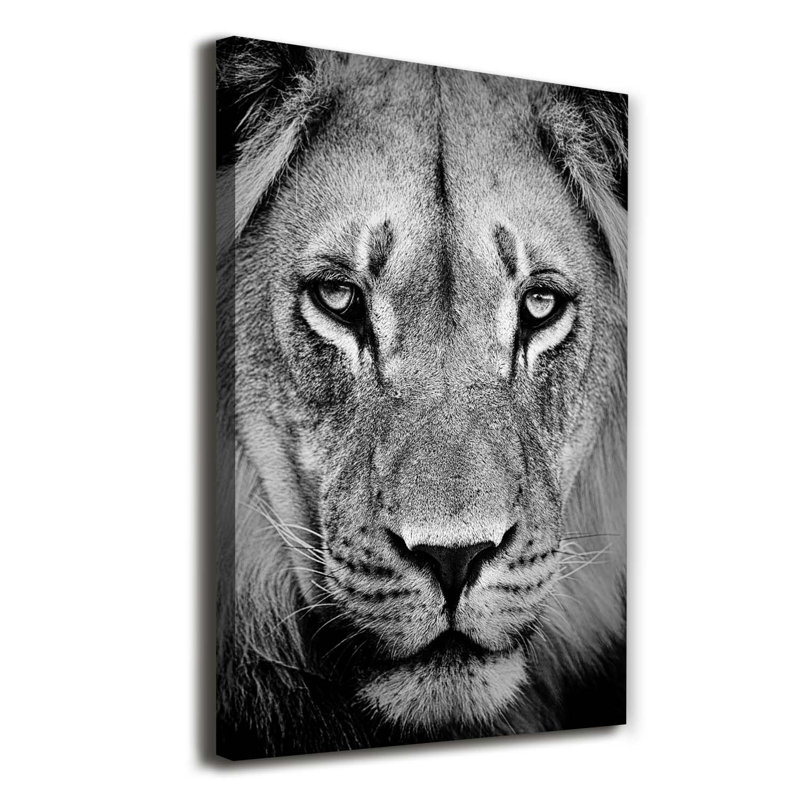 Portrait of a lion 1 Piece Wrapped Canvas Wall Art