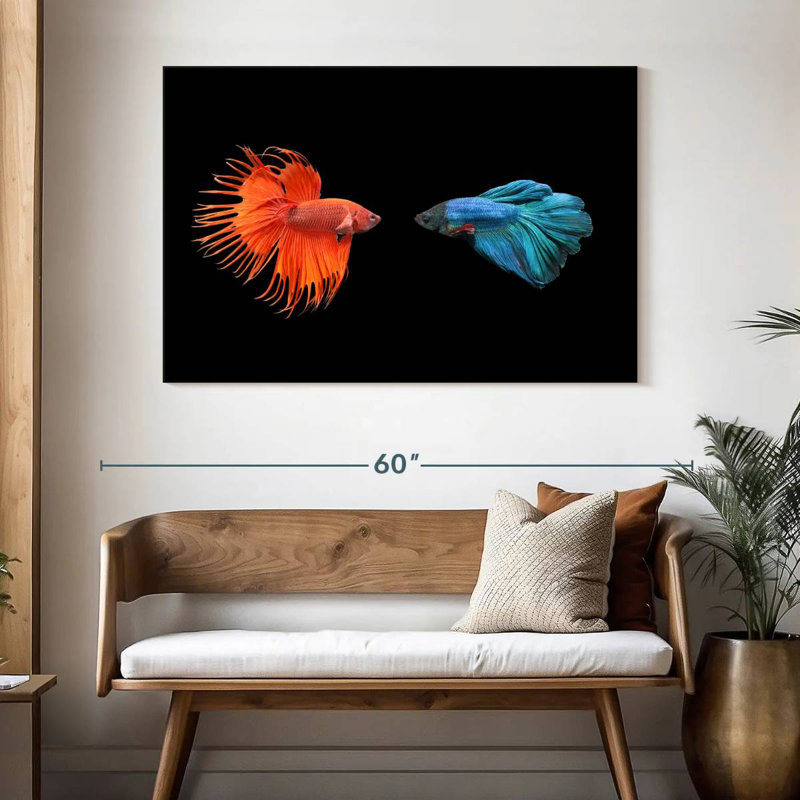 Brametta Betta Fish Meet, H 32 po x l 48 po