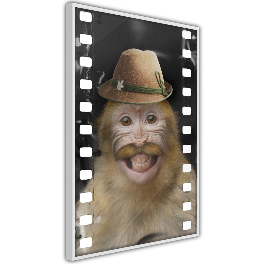 Gerahmtes Poster Dressed up Monkey