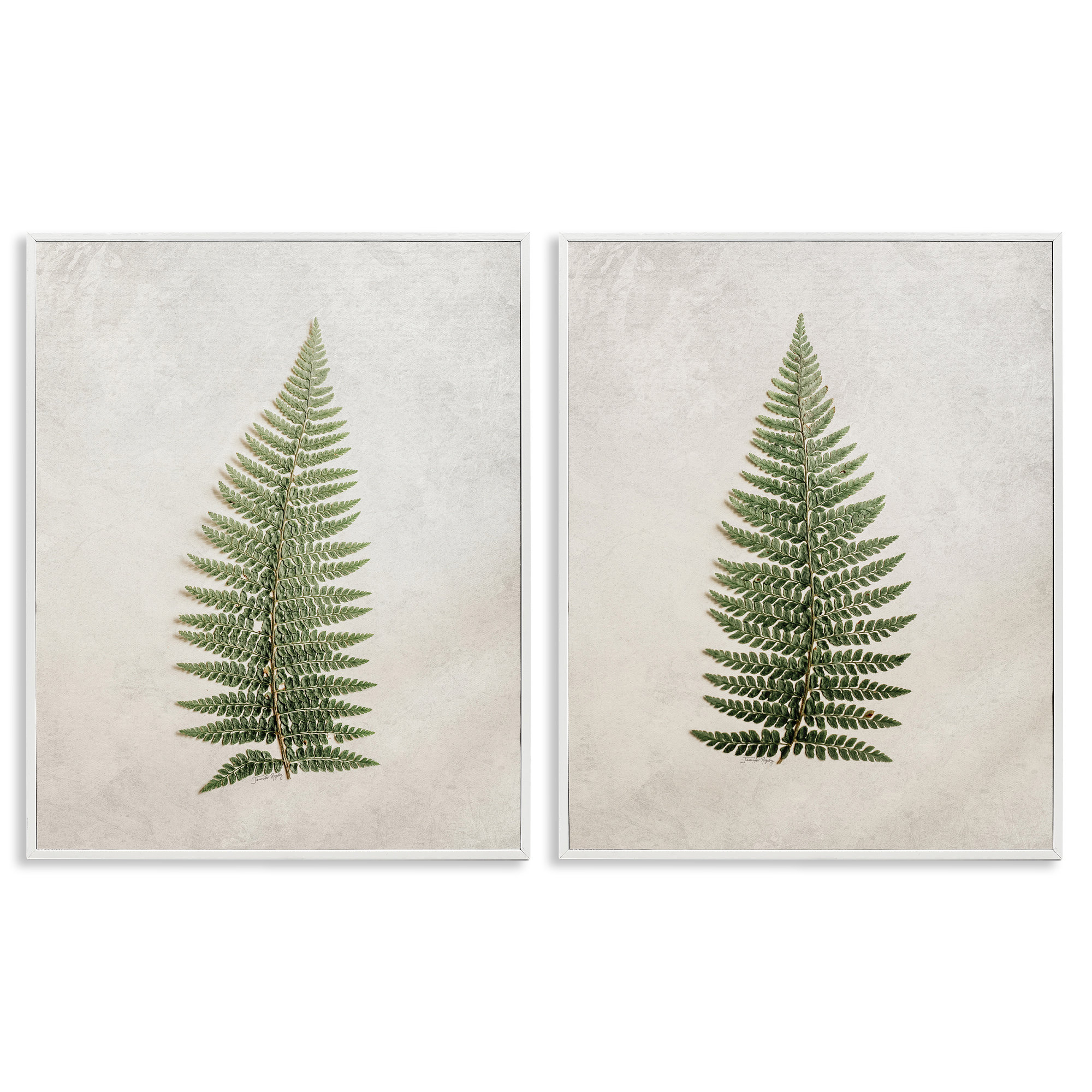Stupell Industries Realistic Fern Leaves 2 PC Framed Giclee Art Set by ...