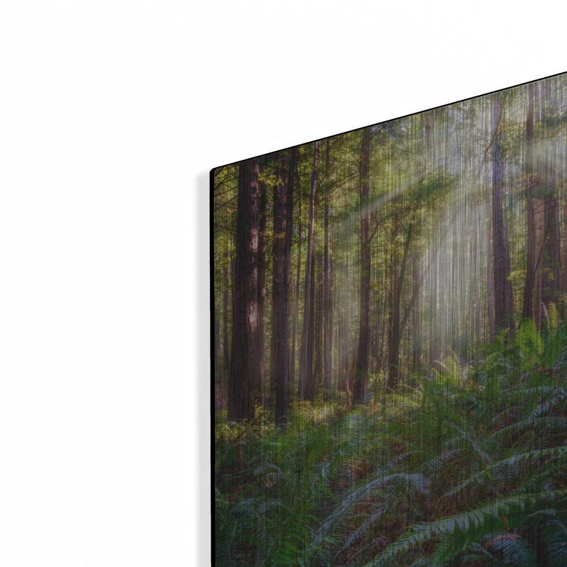 «Oregon Redwoods» par Rick Berk, art mural en métal, H 16 po x l 12 po