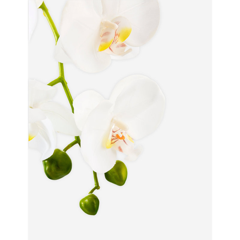 Victoria Ceramic Realtouch Orchid