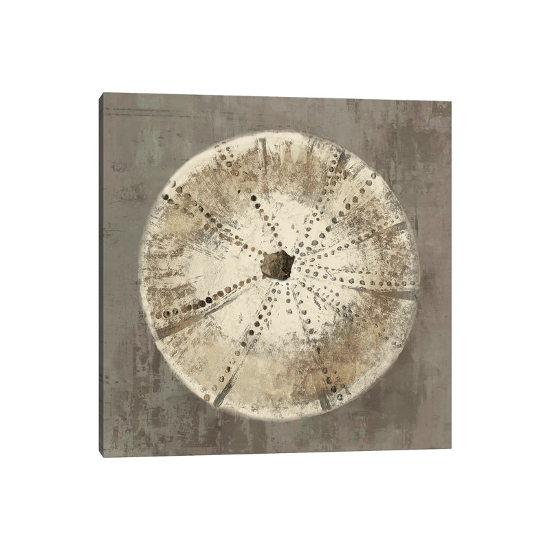 Sand Dollar I 1 Piece Wrapped Canvas Wall Art, 66.04 cm H x 66.04 cm W x 3.175 cm D