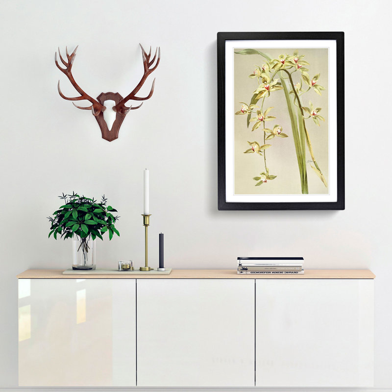 Magnolia Flowers Illustration Tab. 53 by Frederick Sander - Picture Frame Painting Print, 50cm H x 35cm W x 2cm D, Black