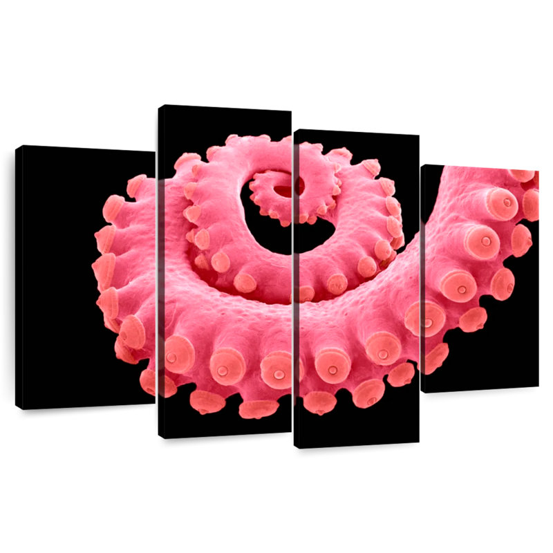 Brampt Pink Octopus Tentacle, 54" H x 84" W