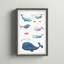 «Naya Whale Family», reproduction encadrée-1510776094