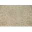 Tapis traditionnel antique 9x13