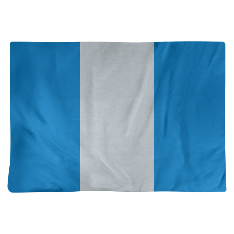 Récapitulatif 18" basket Orlando, Bleu / argenté / bleu, Polyester
