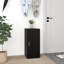 10 Pair Shoe Storage Cabinet
