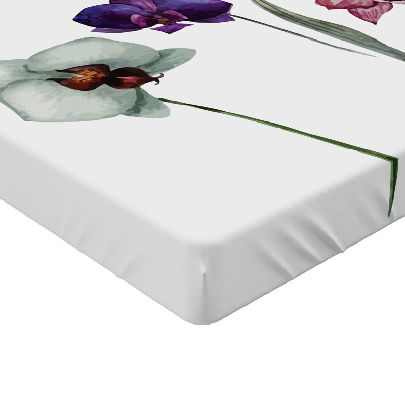 Drap-housse orange Ambesonne, Crème / violet / rose séchée, Drap-housse grand