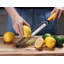 Zeste d'agrumes et râpe à fromage Deiss PRO - Parmesan citron, gingembre, ail, muscade, chocolat, légumes, fruits - Lame en acier inoxydable tranchante, large, lavable au lave-vaisselle-128905742