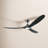 Ceiling Fan with LED Lights-1202566630-1087829342