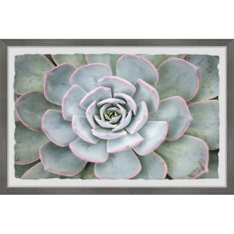 Pink Edges - Single Picture Frame Painting, 38 cm H x 45 cm W