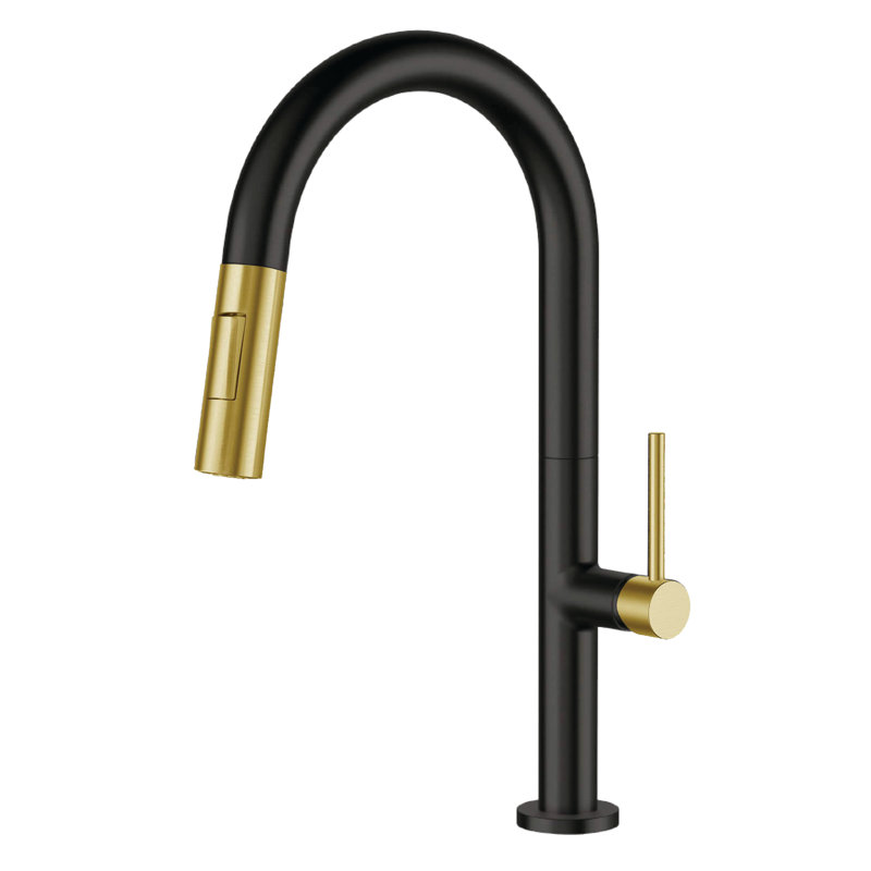 Robinet de cuisine rétractable à poignée simple avec accessoires, Noir / laiton satiné
