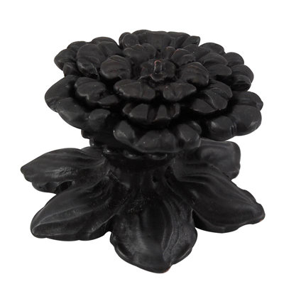 Carlotta Novelty Knob