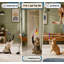 Ce kit de 12 baguettes interactives 4 en 1 pour chatons d'intérieur comprend une ventouse améliorée, un bâtonnet de rechange pour chat et 2 types de jouets à suspendre à la porte.