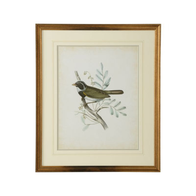 Delicate Birds VI Print