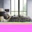 Couvre-lit 5 pièces - Grand, noir, style classique avec grand motif taupe et cachemire doré-117409772-117409775
